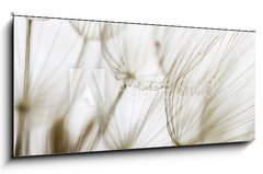 Obraz 1D panorama - 120 x 50 cm F_AB180759298 - Dandelion seed closeup