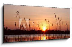 Obraz 1D panorama - 120 x 50 cm F_AB18109096 - Abendhimmel im Schilf