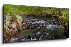 Obraz 1D panorama - 120 x 50 cm F_AB182860867 - Whitewater Stream