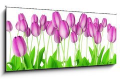 Obraz   tulips, 120 x 50 cm