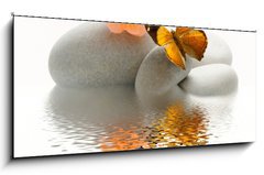 Obraz 1D panorama - 120 x 50 cm F_AB18479744 - Papillon galet