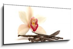 Obraz 1D panorama - 120 x 50 cm F_AB18845882 - Orchidee