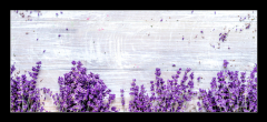 Skleněný obraz 1D panorama - 120 x 50 cm F_AB188691240 - Bunch of dry lavender flowers on rustic background top view mock