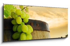 Sklenn obraz 1D panorama - 120 x 50 cm F_AB19328212 - Wine barrel and grape with vineyard in background - Vno a vinn hrozny s vinicemi v pozad