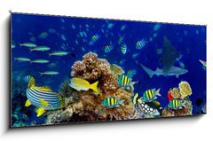 Obraz 1D panorama - 120 x 50 cm F_AB196736176 - colorful wide underwater coral reef panorama banner background with many fishes turtle and marine life / Unterwasser Korallenriff breit Hintergrund