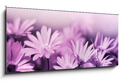 Skleněný obraz 1D panorama - 120 x 50 cm F_AB19781322 - Pink floral background - Růžové květinové pozadí