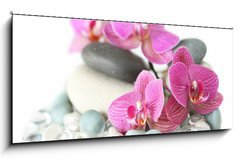 Obraz 1D panorama - 120 x 50 cm F_AB19964009 - Orchid laying on stones