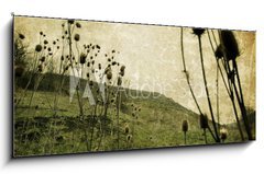 Obraz 1D panorama - 120 x 50 cm F_AB20013462 - Vintage nature