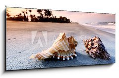 Obraz 1D panorama - 120 x 50 cm F_AB20042109 - shell