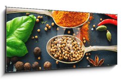 Skleněný obraz 1D panorama - 120 x 50 cm F_AB201727339 - Various herbs and spices on dark background - Různé byliny a koření na tmavém pozadí