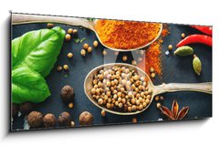 Obraz 1D panorama - 120 x 50 cm F_AB201727339 - Various herbs and spices on dark background - Rzn byliny a koen na tmavm pozad