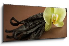 Sklenn obraz 1D panorama - 120 x 50 cm F_AB20326505 - Beautiful Vanilla - Krsn vanilka