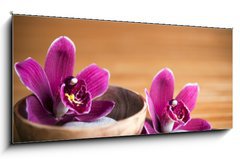 Obraz   Composition zen  fleurs orchide et pierres, 120 x 50 cm