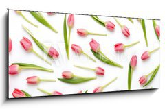Obraz 1D panorama - 120 x 50 cm F_AB205206437 - Pink tulip pattern on the white bacjkground.