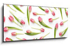 Obraz   Pink tulip pattern on the white bacjkground., 120 x 50 cm