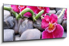 Obraz 1D panorama - 120 x 50 cm F_AB20850599 - Orchideenbl ten auf Kieselsteinen
