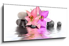 Sklenn obraz 1D panorama - 120 x 50 cm F_AB20947031 - Orchidee et Beaute