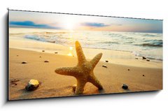 Sklenn obraz 1D panorama - 120 x 50 cm F_AB21858060 - Starfish on the beach