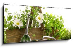 Skleněný obraz 1D panorama - 120 x 50 cm F_AB22249018 - Fresh herbs in wooden box on grass - Čerstvé byliny v dřevěné krabici na trávě