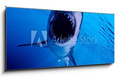 Obraz 1D panorama - 120 x 50 cm F_AB222972216 - 3d rendered illustration of a great white shark