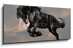 Sklenn obraz 1D panorama - 120 x 50 cm F_AB22600957 - black friesian stallion gallop in sunset - ern frsk hebec cval v zpadu slunce