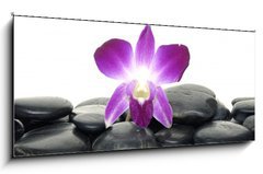 Obraz   Purple orchid and black stones, 120 x 50 cm