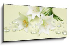 Sklenn obraz 1D panorama - 120 x 50 cm F_AB22863398 - Ein Blumengru 