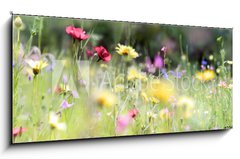 Skleněný obraz 1D panorama - 120 x 50 cm F_AB236066014 - wildblumenwiese natur banner pastell