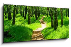 Obraz   green forest, 120 x 50 cm