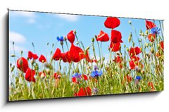 Obraz 1D panorama - 120 x 50 cm F_AB23892444 - blumenwiese