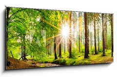 Sklenn obraz 1D - 120 x 50 cm F_AB245602125 - Beautiful forest panorama in spring with bright sun shining through the trees - Krsn lesn panorama na jae s jasnm sluncem prosvtajcm mezi stromy