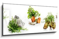 Obraz 1D panorama - 120 x 50 cm F_AB247543142 - Marjoram, oregano, rosemary garden herbs set