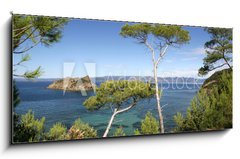 Obraz 1D panorama - 120 x 50 cm F_AB24971446 - PINS MARITIMES, PLAGE DE LA PALUD, ROCHER DU RASCAS, PORT-CROS, - PINS MARITIMES, PLACE DE LA PALUD, ROCHER DU RASCAS, PORT