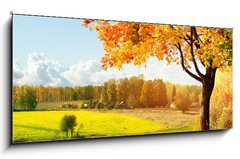 Obraz   Autumn at the morning park, 120 x 50 cm