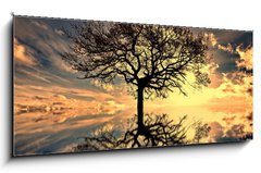 Sklenn obraz 1D panorama - 120 x 50 cm F_AB25486634 - mystic moments