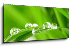 Obraz 1D panorama - 120 x 50 cm F_AB25545788 - water drops on the green grass