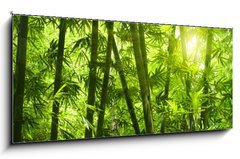 Obraz   Bamboo forest., 120 x 50 cm