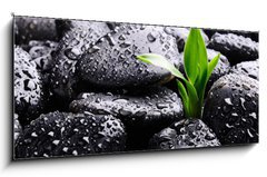 Obraz 1D panorama - 120 x 50 cm F_AB25878336 - Spa concept