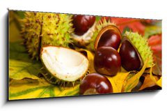 Obraz   Composition of autumn chestnuts and leaves, 120 x 50 cm