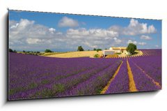 Sklenn obraz 1D panorama - 120 x 50 cm F_AB25999220 - cadre de reve