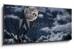 Sklenn obraz 1D panorama - 120 x 50 cm F_AB26290329 - Full moon