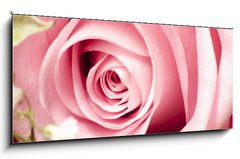 Obraz 1D panorama - 120 x 50 cm F_AB26423247 - Rosa