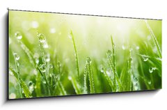 Skleněný obraz 1D panorama - 120 x 50 cm F_AB265607915 - Juicy lush green grass on meadow with drops of water dew in morning light in spring summer outdoors close - Šťavnatá svěží zelená tráva na louce s kapkami rosy v ranním světle v jarním létě venku zavřít