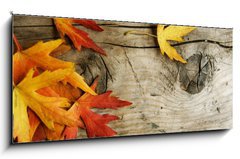 Obraz 1D panorama - 120 x 50 cm F_AB26583135 - Autumn Leaves over wood background.With copy space - Podzimn list nad devnm podkladem