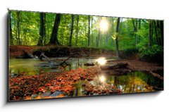 Sklenn obraz 1D panorama - 120 x 50 cm F_AB26798105 - Autumn forrest