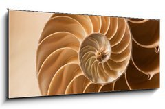 Sklenn obraz 1D panorama - 120 x 50 cm F_AB27136631 - close up nautilus shell pattern