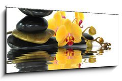 Obraz 1D panorama - 120 x 50 cm F_AB27386965 - Orchideen 92 - Orchideje 92