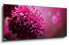 Obraz 1D panorama - 120 x 50 cm F_AB28158442 - Dahlia Autumn flower design. With copy-space