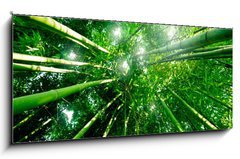 Skleněný obraz 1D panorama - 120 x 50 cm F_AB28379560 - Bambou zen for t - Bambou zen pro t