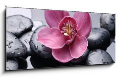 Obraz 1D panorama - 120 x 50 cm F_AB28703527 - Macro of red orchid on stone with water drops